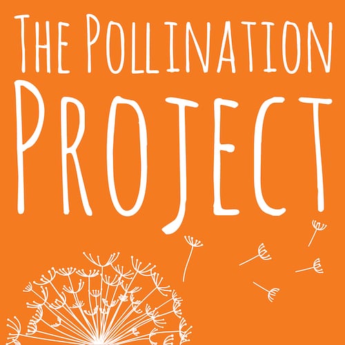 Pollination Project Seed Fund